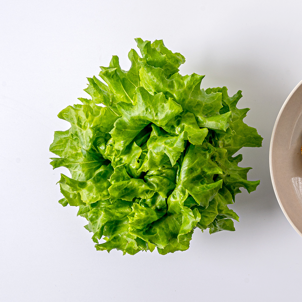 lettuce